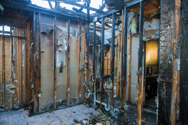 Professional Emergency Fire Cleanup technician working in Zelienople, PA